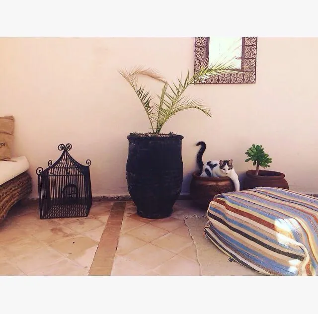 Riad Nejma Lounge Marrakesch Marokko